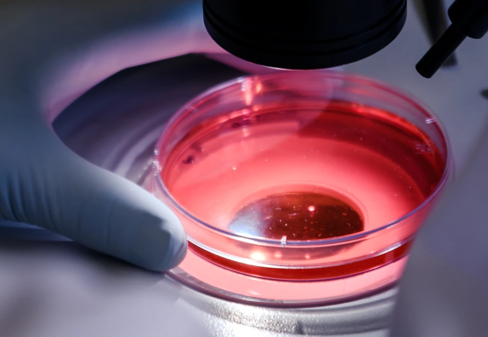 digital microscope connect to computer